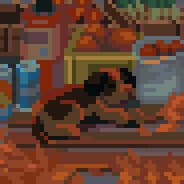 Profile image bagio