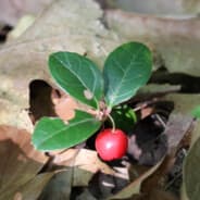 Profile image Count  Zero