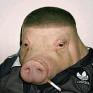 Profile image hidden pool king