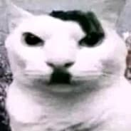 Profile image babiushka