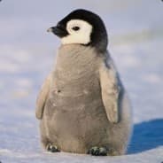 Profile image August