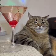 Profile image KonSPiiRacY_KaRL #COMMENCE1776