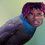 Profile image Lil Uzi Bird