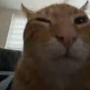Profile image catexplode