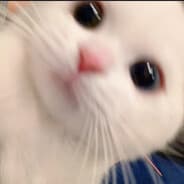 Profile image sam.
