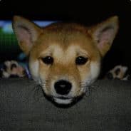 Profile image trizkut