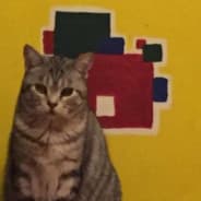 Profile image tiredtiredcat