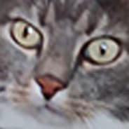 Profile image Sigmund