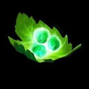 Profile image Smoke Tango