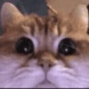 Profile image Kaspu22