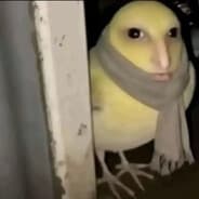 Profile image freedxqshka и если фек