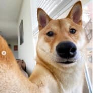 Profile image patryk