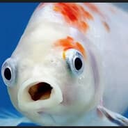 Profile image Kirurgi