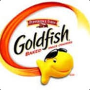 Profile image Goldfish