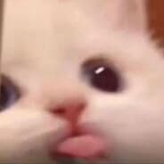 Profile image Suwwiven ヽoﾉ