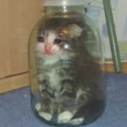 Profile image LarryLobster