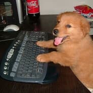 Profile image Brainfreezzzzz