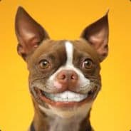 Profile image ZingoSon