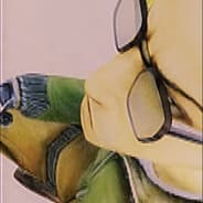 Profile image syjer