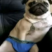 Profile image farfar