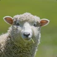 Profile image KentuckyFriedSheep