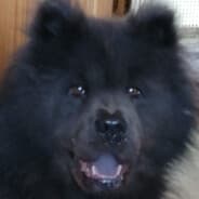 Profile image Aritax