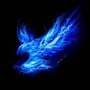 Profile image Hawk