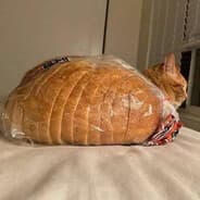 Profile image KonSPiiRacY_KaRL #COMMENCE1776