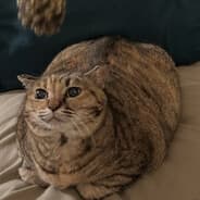 Profile image swagmonster