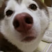Profile image quibble