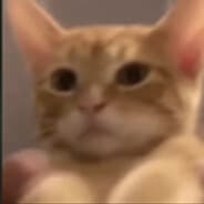 Profile image bah
