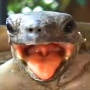 Profile image Wallah Bro