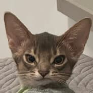 Profile image kibuster