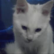 Profile image FRANCESOLDIER