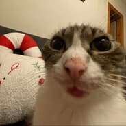 Profile image Lituna