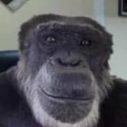 Profile image zeltim