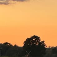 Profile image brain lag