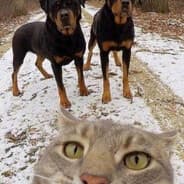 Profile image realdatslim