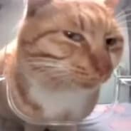 Profile image KYS | PLAZMA