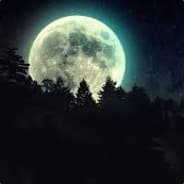 Profile image Orson
