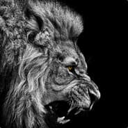 Profile image 25 TO LIFE