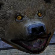 Profile image dlz