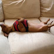 Profile image xer1an