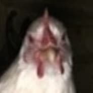 Profile image Imhotep