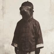 Mapper image pedroknz