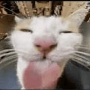 Profile image Kopheee