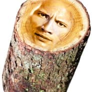 Profile image Dwayne The Log Johnson