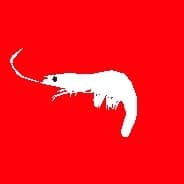 Profile image Dre
