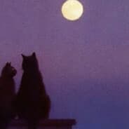 Profile image Murda.