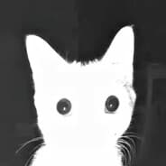 Profile image starving victorian child